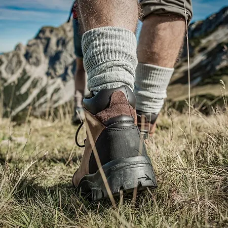 Gaestehaus Elfriede Inklusive Sommerbergbahnticket Casa de hóspedes