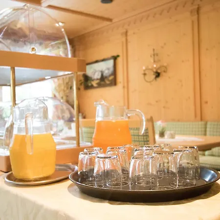 Casa de hóspedes Gaestehaus Elfriede Inklusive Sommerbergbahnticket 4*